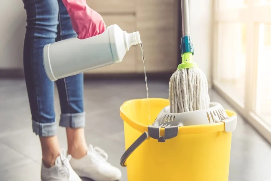 Professional Cleaners