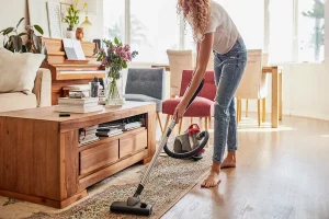 Professional Cleaning