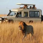 Wildlife Adventure