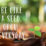 Motivational Quotes for Daily Success to Inspire Growth