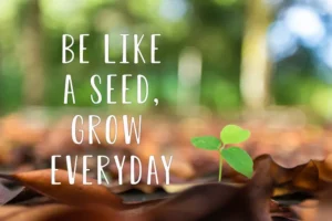 Motivational Quotes for Daily Success to Inspire Growth